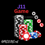 J11 game